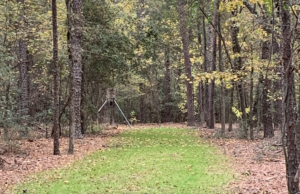 Successful Whitetail Hunting On 7 Acers